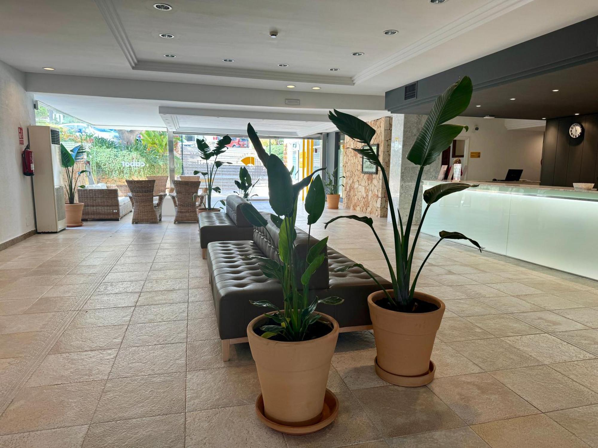 卡拉费雷拉酒店 Cala D´Or 外观 照片